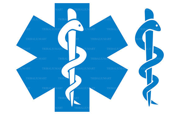 Review of Medical Symbol Caduceus Snake with Stick